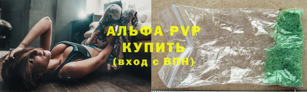 прущие грибы Волосово