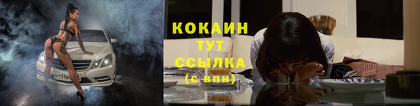 прущий лед Вяземский