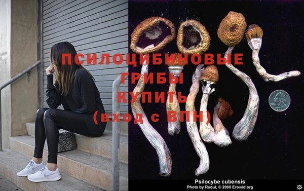прущие грибы Волосово
