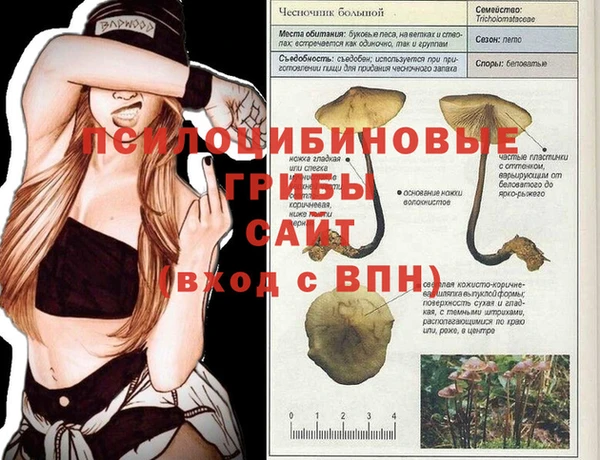 гашишное масло Вязьма