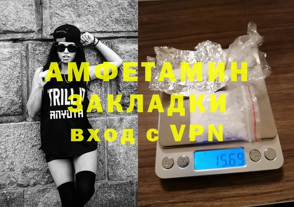 прущие грибы Волосово