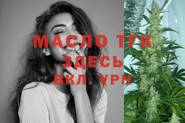 прущий лед Вяземский